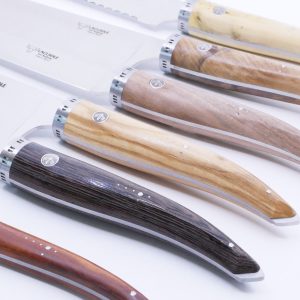 Bloc Gourmet Couteaux Laguiole En Aubrac Bois Mixtes 093