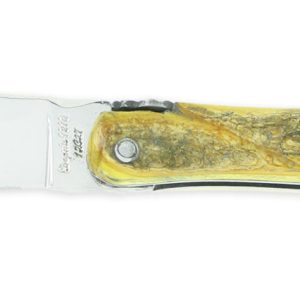 Couteau Prestige Laguiole Arbalete Manche En Croute De Buis Plein Manche 1 Piece 12cm 01