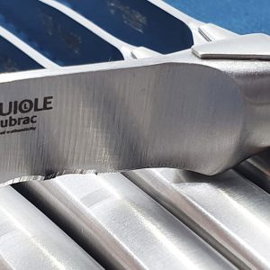 Couteaux Table Lea Dentes Steak Monobloc Brosse 03