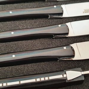 Couteaux Table Lea Laguiole Quotidien Paperstone 02