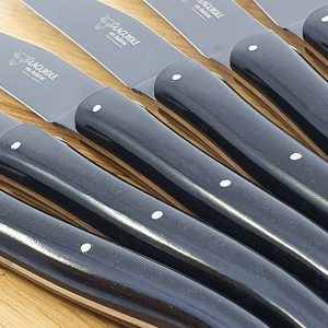 Couteaux Table Lea Laguiole Quotidien Paperstone Titane 02