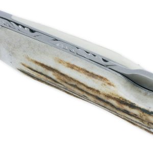 Douris Chastel Le Pionnier Folding Knife 1 Piece Stag Horn 11cm