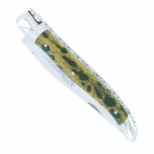 Laguiole En Aubrac Knife 1 Piece 12 Cm Green Cactus Handle 2 Shiny Stainless Steel Bolsters