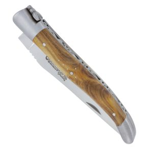 Laguiole En Aubrac Knife 1 Piece 12 Cm Pistachio Handle Brushed Stainless Steel